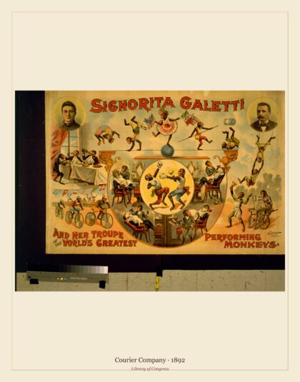 Courier Company — Signorita Galetti and her troupe of the world's greatest performing monkeys (1892)